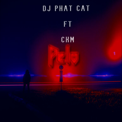 DJ Phat Cat - Pelo (feat. CKM) [CAT603250]